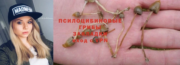 соль ск Михайловка